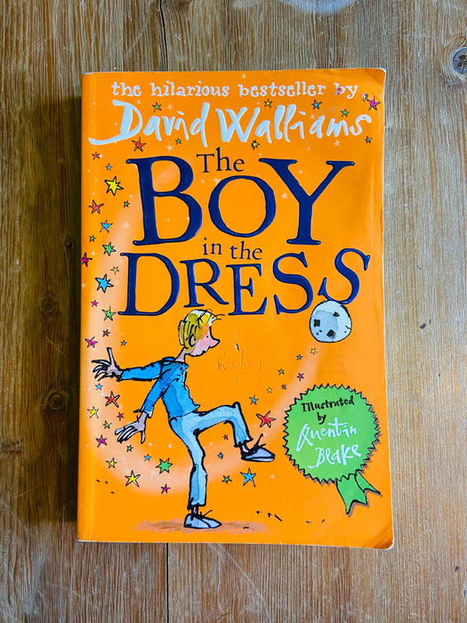 The Boy in the Dress - David Walliams