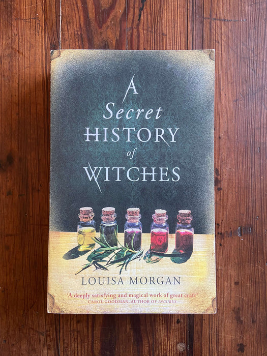 A Secret History of Witches - Louisa Morgan