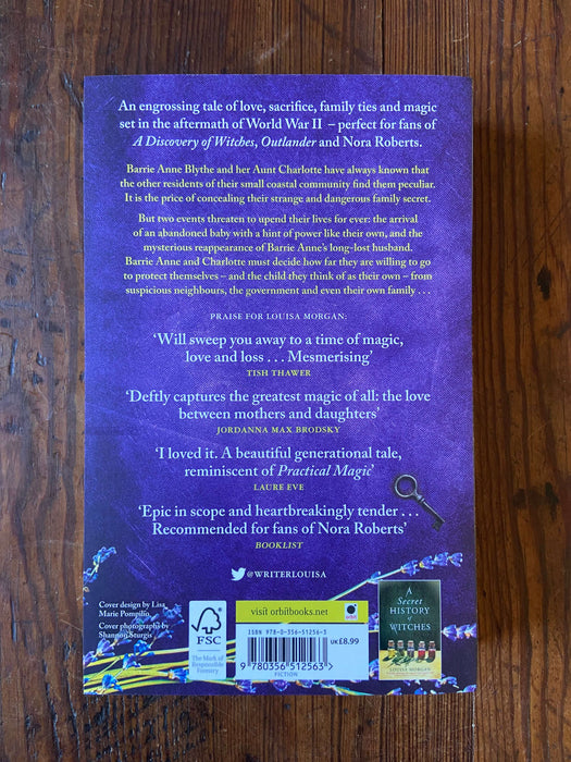 The Witch's Kind - Louisa Morgan