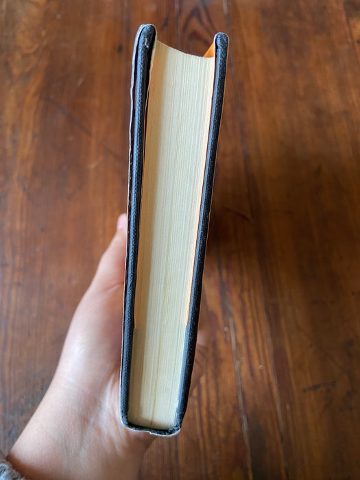Demon Apocalypse - Darren Shan