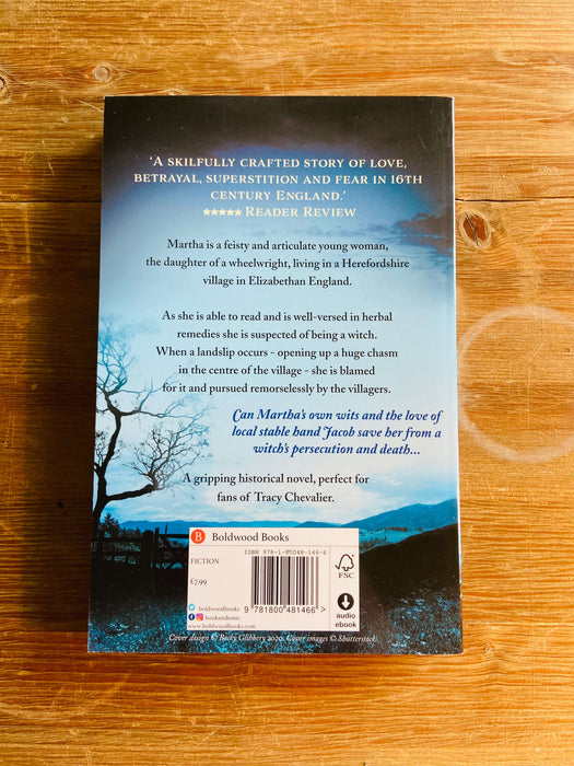 The Wheelwright's Daughter - Eleanor Porter