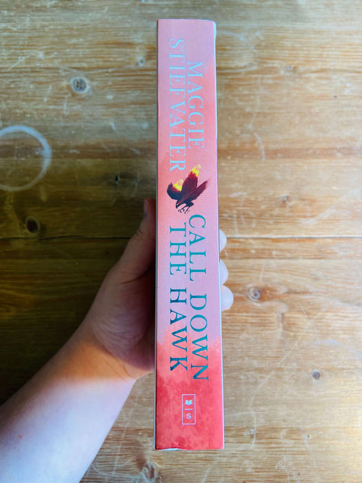 Call Down the Hawk - Maggie Stiefvater