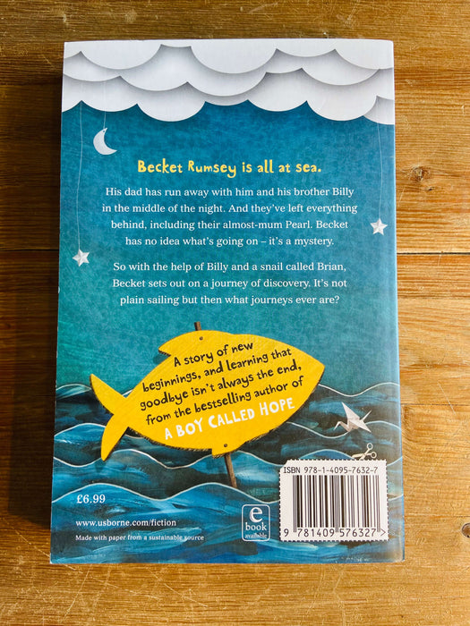 The Boy Who Sailed the Ocean in an Armchair - Lara Williamson