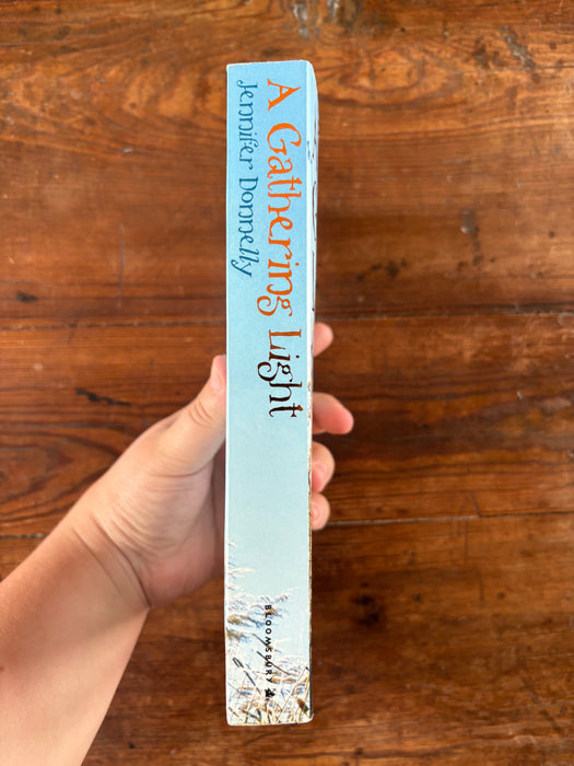 A Gathering Light - Jennifer Donnelly