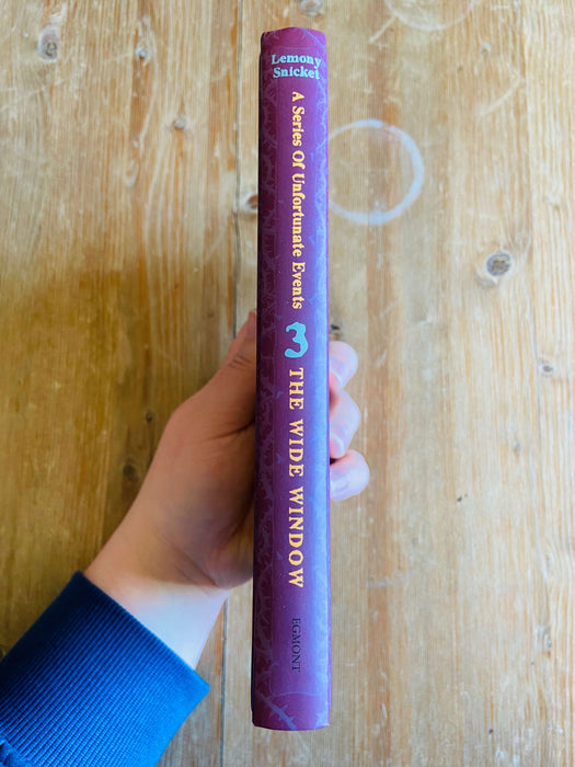 The Wide Window - Lemony Snicket
