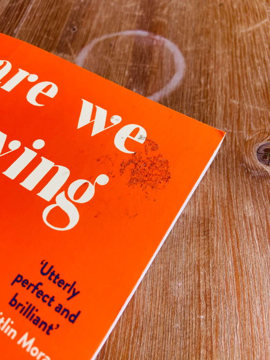 Are We Having Fun Yet? - Lucy Mangan