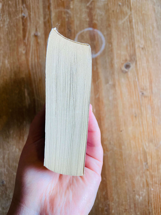 Deception Point - Dan Brown