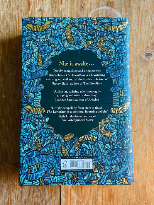 The Leviathan - Rosie Andrews