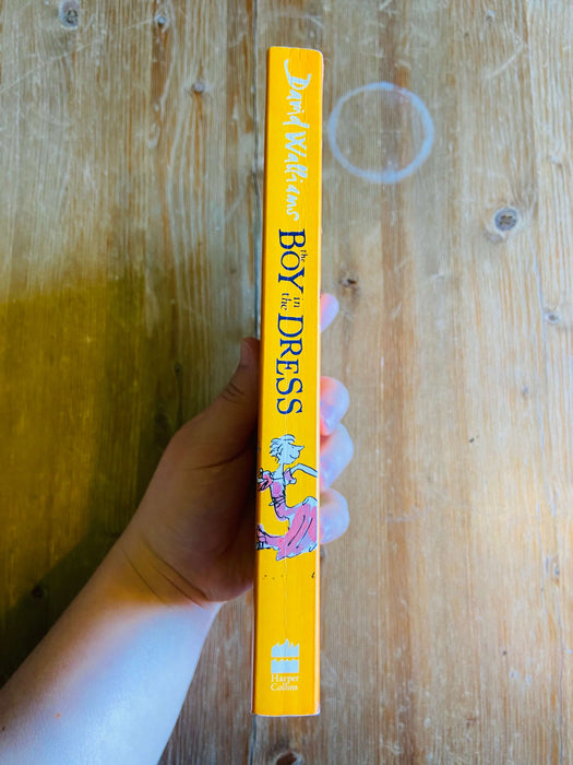 The Boy in the Dress - David Walliams