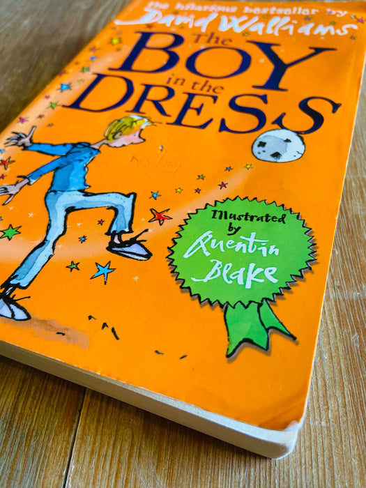 The Boy in the Dress - David Walliams