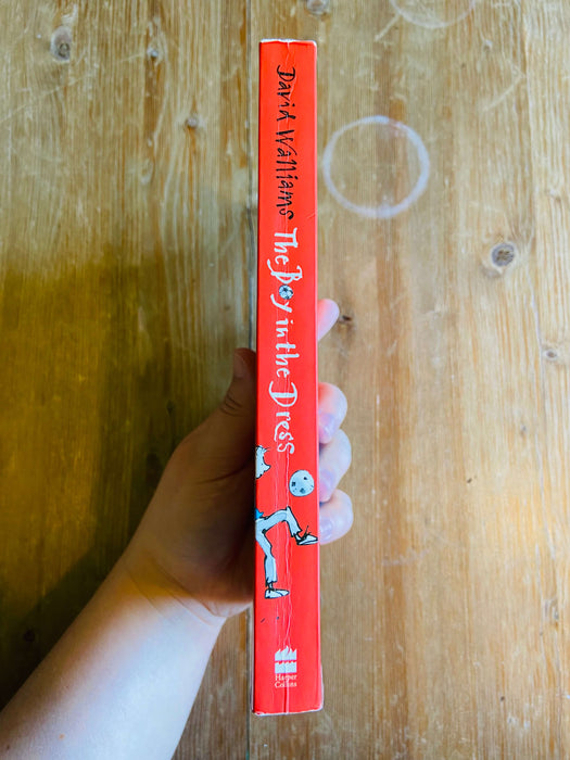 The Boy in the Dress - David Walliams