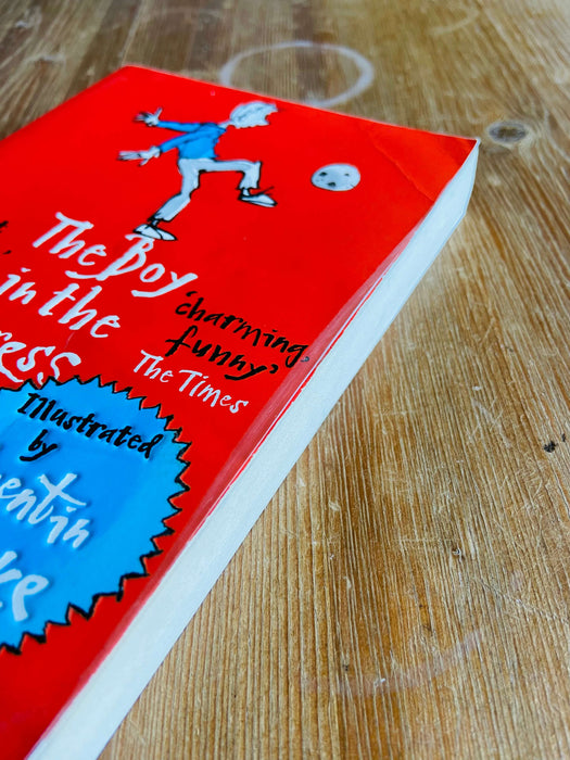 The Boy in the Dress - David Walliams