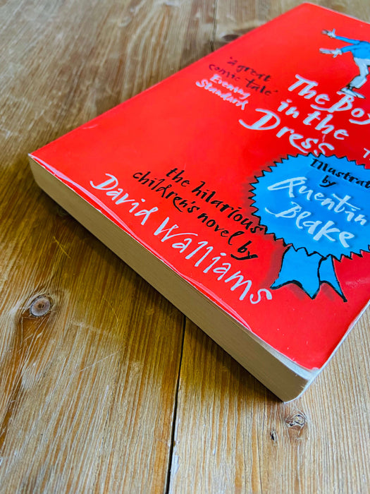 The Boy in the Dress - David Walliams