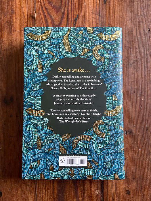 The Leviathan - Rosie Andrews